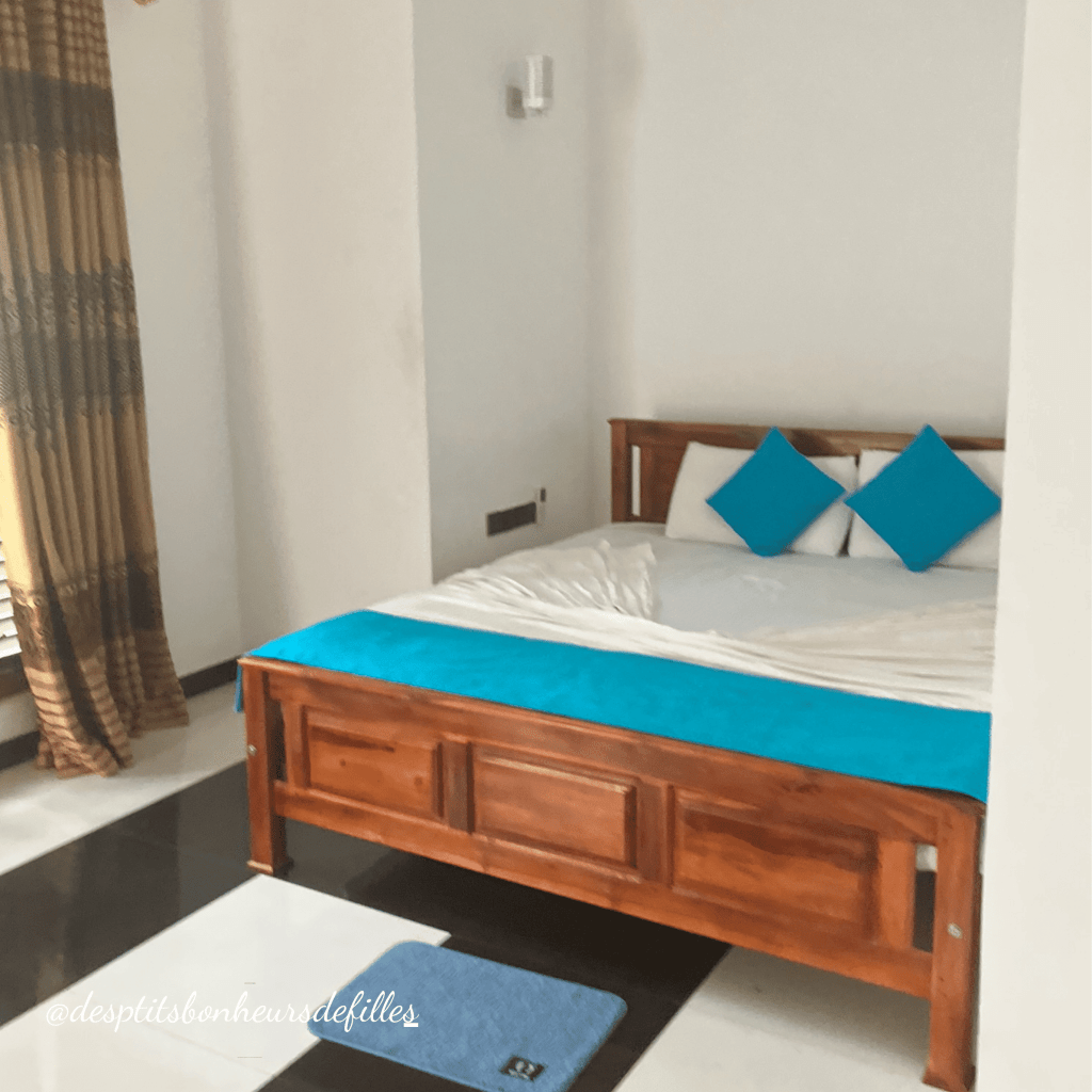 préparer son voyage au sri lanka