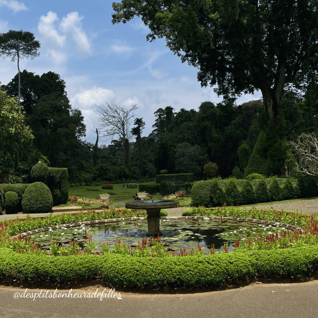 jardin Peradeniya kandy