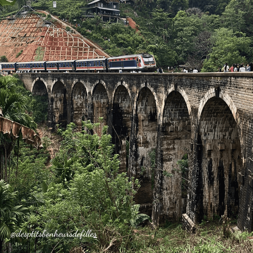 Nine Arches Bridge Dri Lanka avis