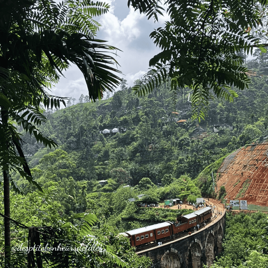 Pont des 9 arches au Sri lanka