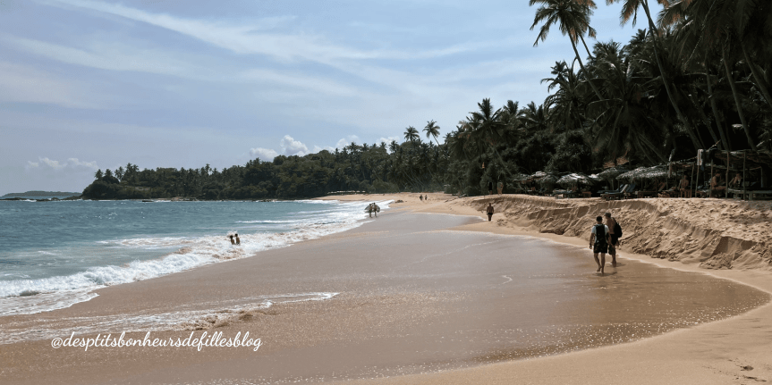 plage sud sri lanka 