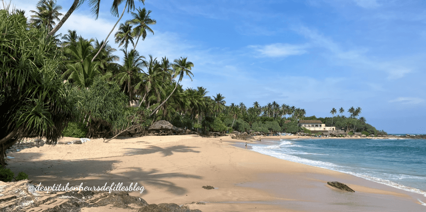 Plage paradisiaque  dans le Sud du Sri Lanka