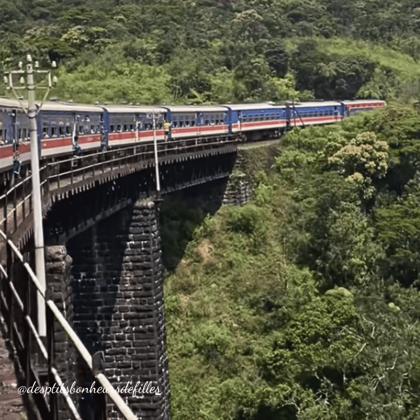 Un train mythique sri lanka sur un pont