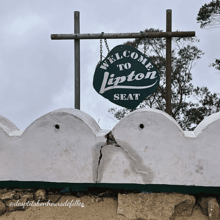 Lipton sit Sri lanka prix