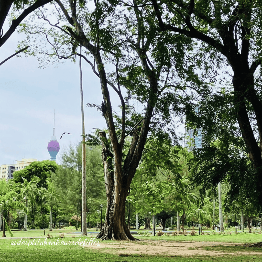 visite colombo 1 journée