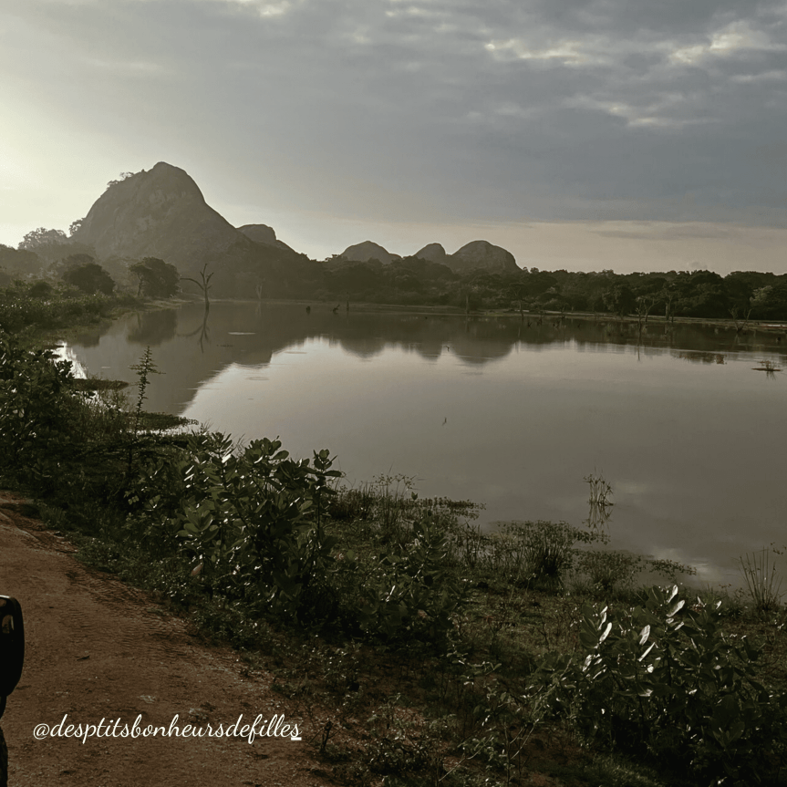 Safari de Yala Sri Lanka lever de soleil