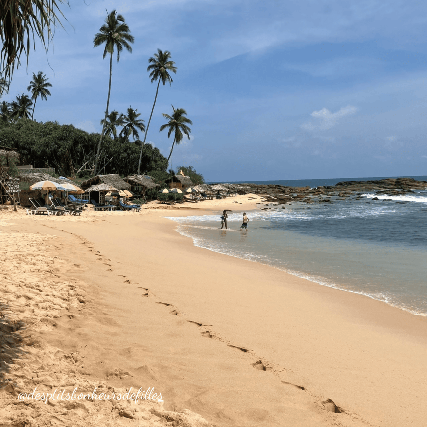 belle Plage de sable doré au sri Lanka