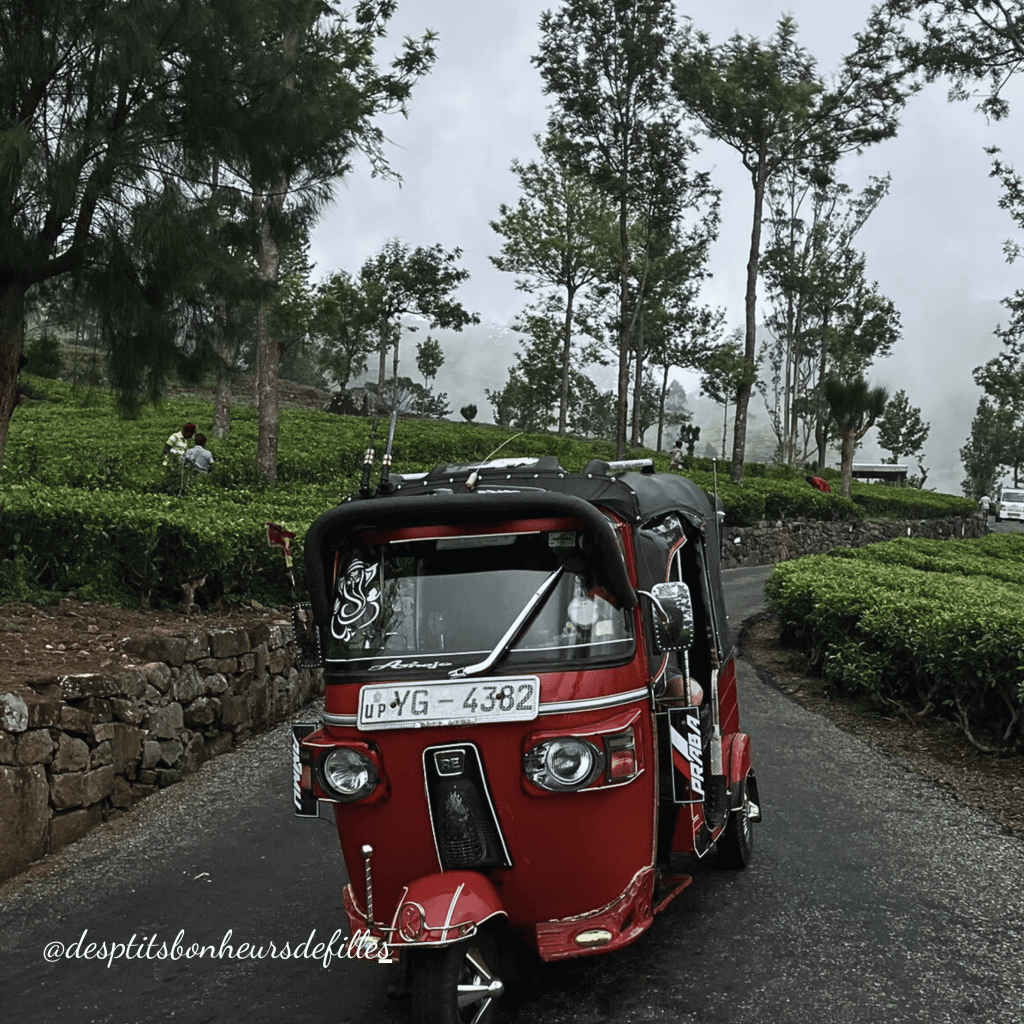 tuktuk au sri lanka