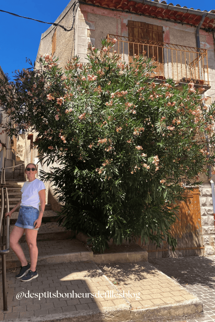 Vacances à Gréoux les bains village médieval