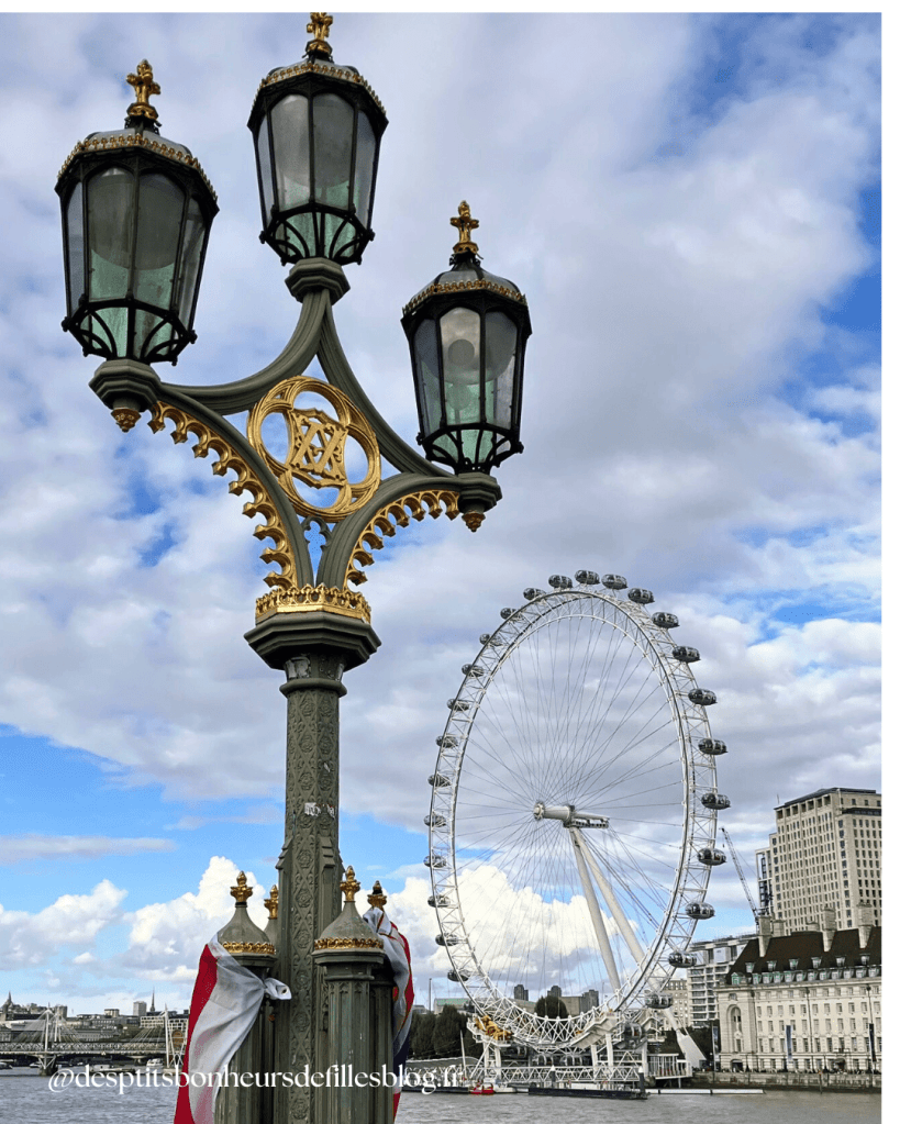 Grande roue London Eye avec vue panoramique sur la capitale britannique