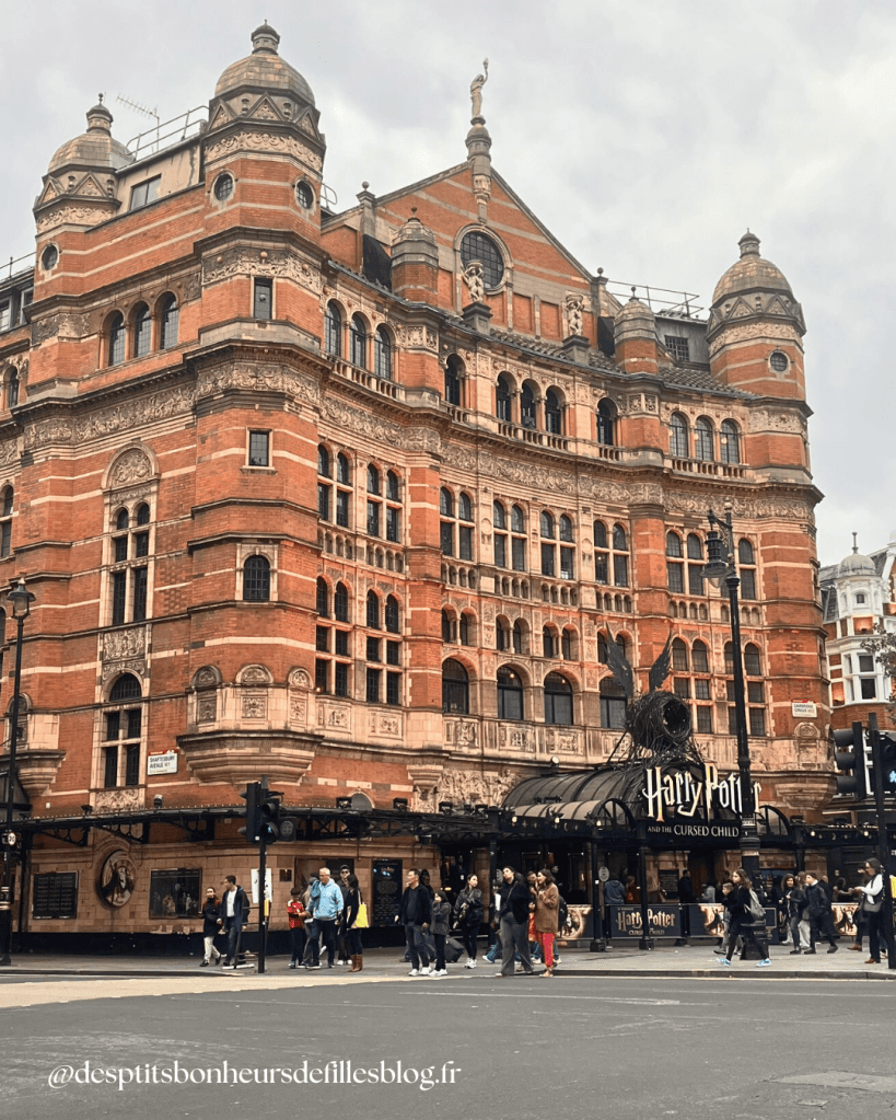 Palace theatre de Londres spectacle Harry potter