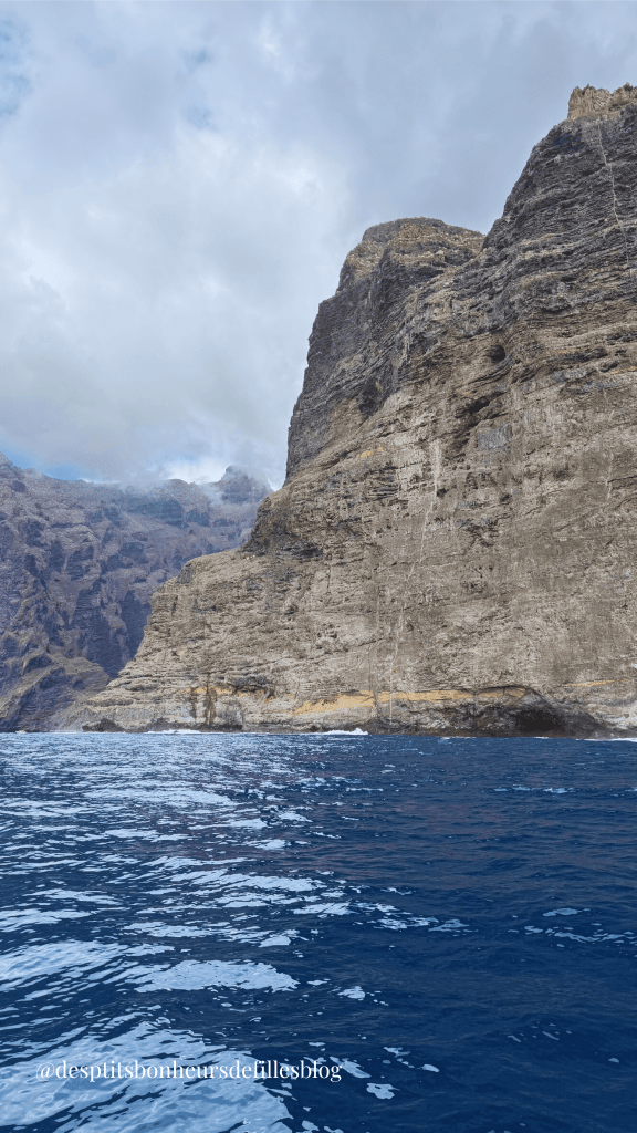 sortie en voilier à Tenerife 