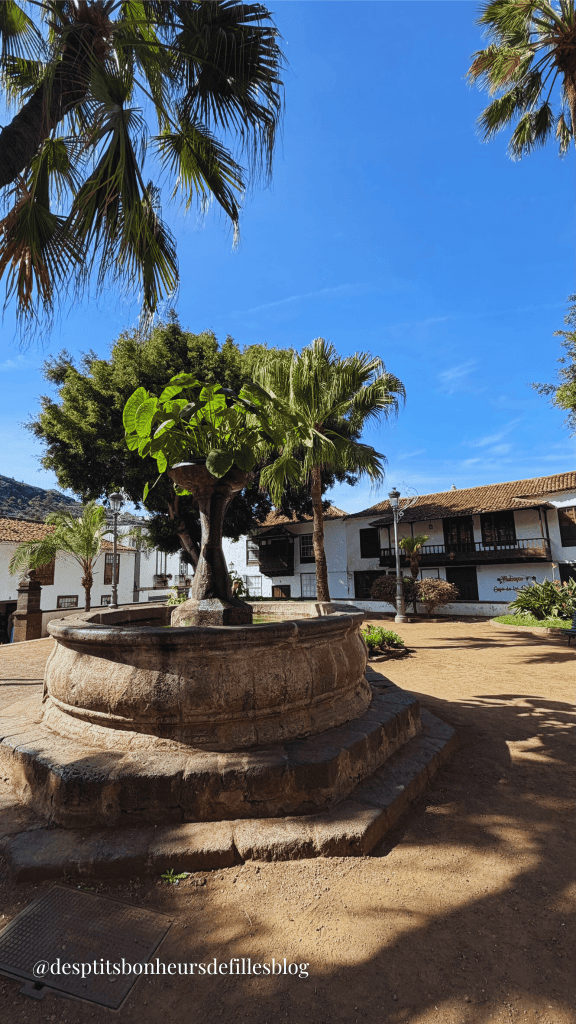 Village typique de tenerife Icod de los vinos