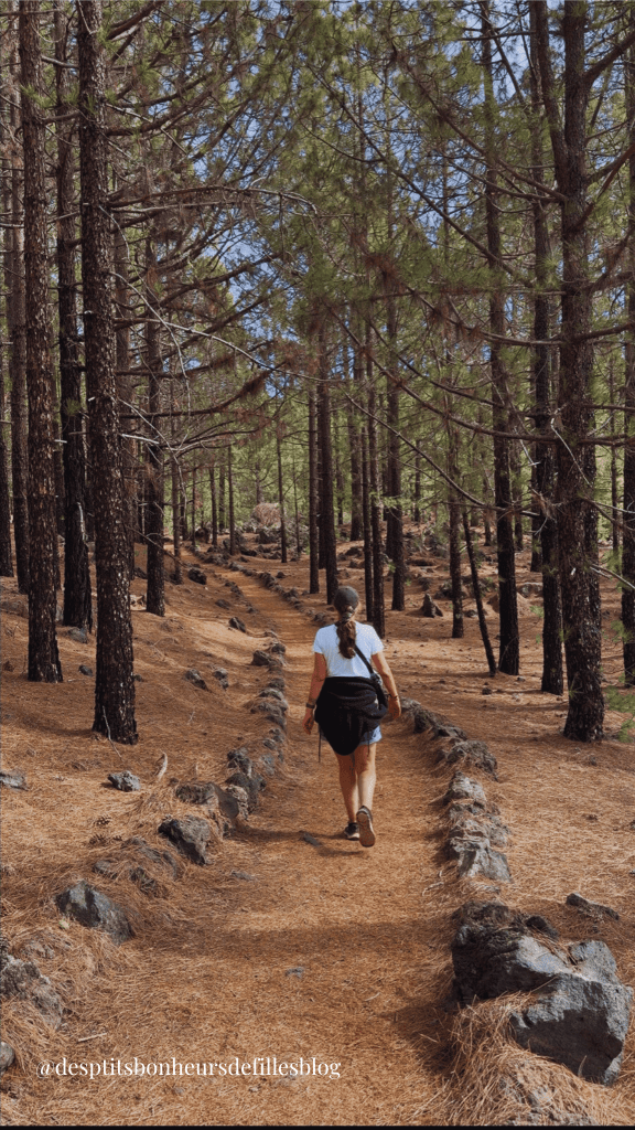 forêt de pins canariens Tenerife
