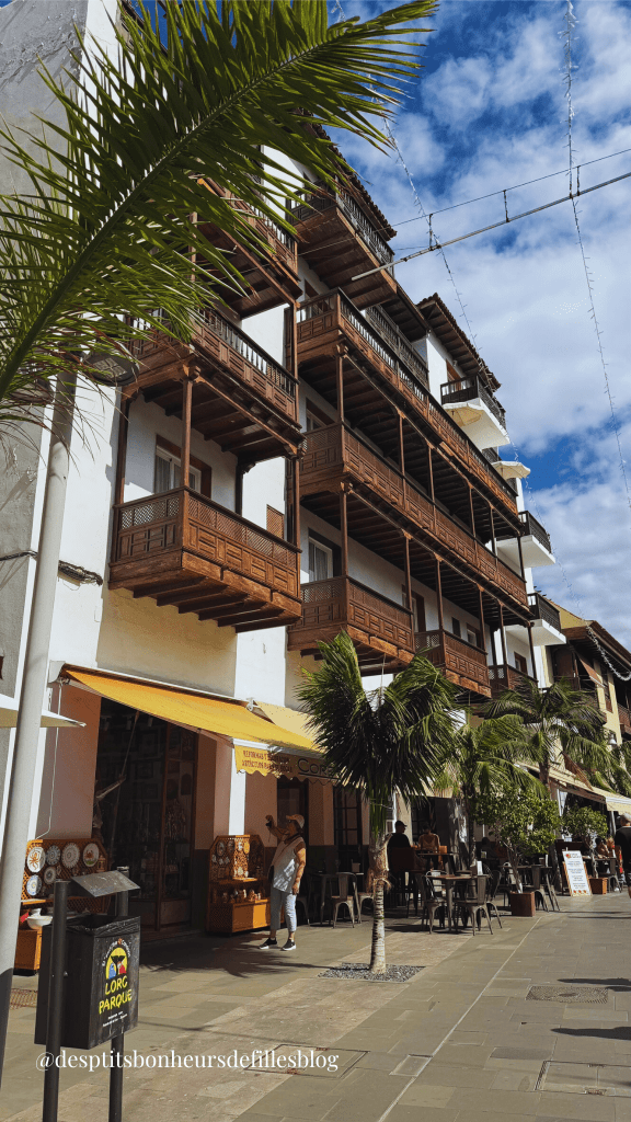 Puerto de la cruz tenerife