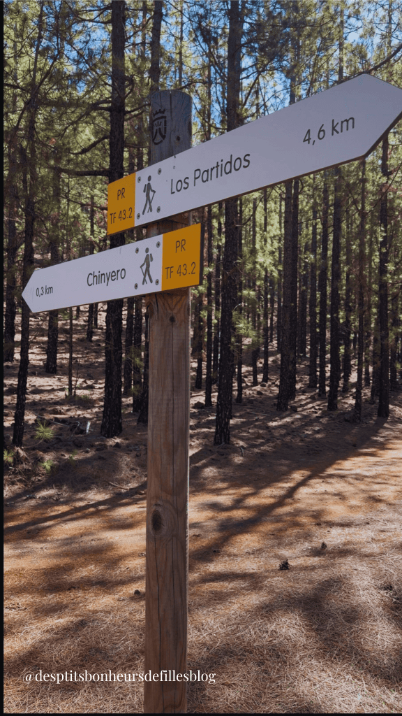 randonnée volcan chinyero Tenerife