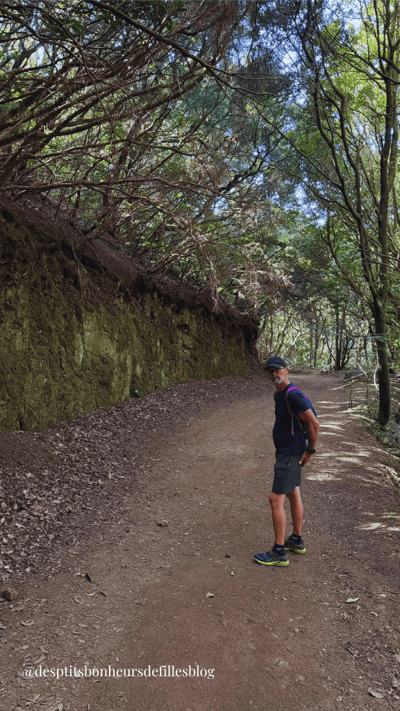 blog Anaga Tenerife randonnée