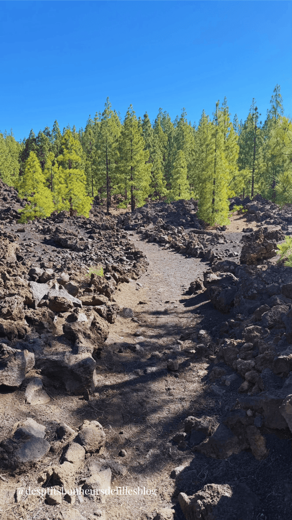 sentier de randonnée chinyero tenerife