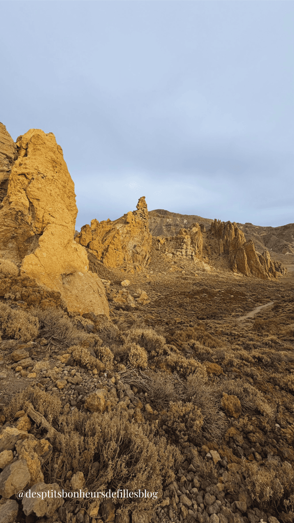 sentier 3 randonnée roques de garcia tenerife