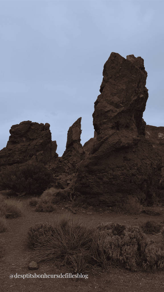 Sentier Roques de Garcia Tenerife