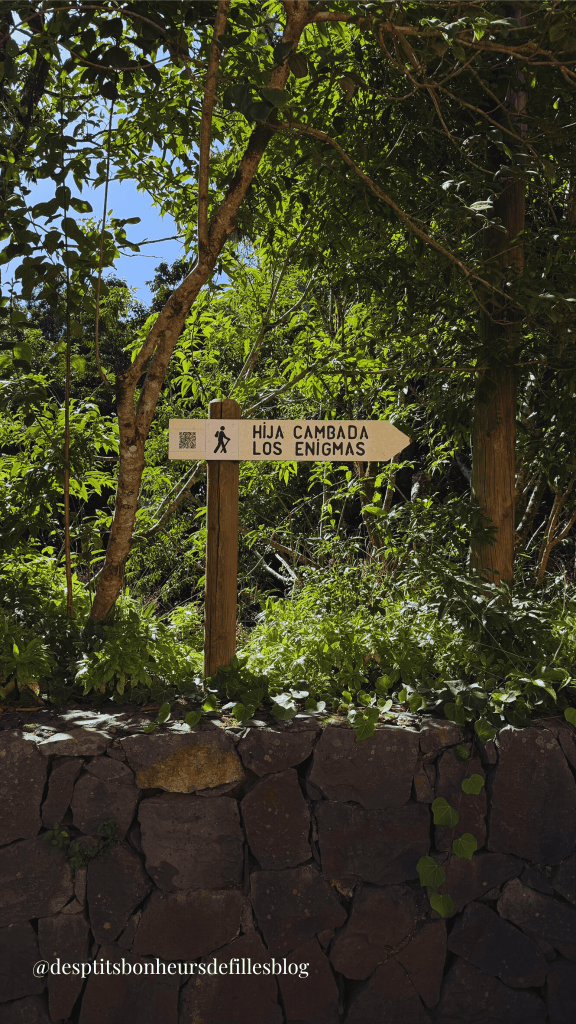 randonnée parc Anaga Tenerife