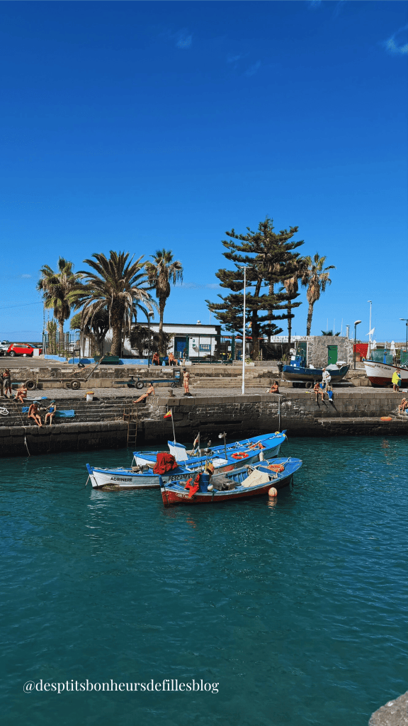 Visite Puerto de la cruz tenerife
